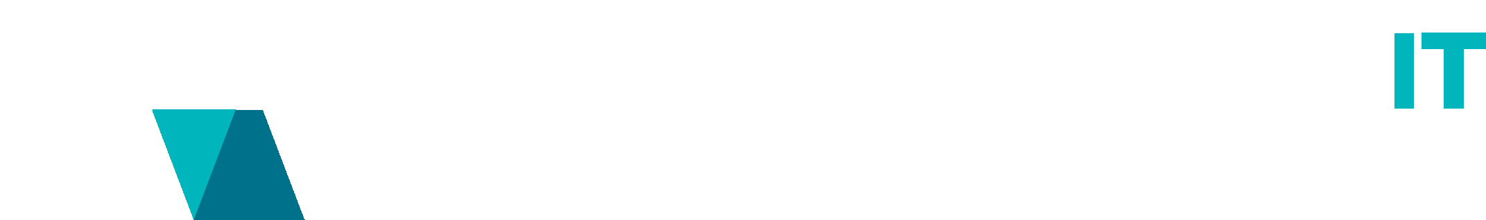 HOLOLY IT